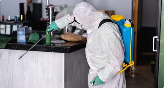 General Pest Control in Delhi, General Pest Control in Gurgaon, General Pest Control in Noida, General Pest Control in Greater Noida, General Pest Control in Faridabad, General Pest Control in Ghaziabad, General Pest Control in Dwarka